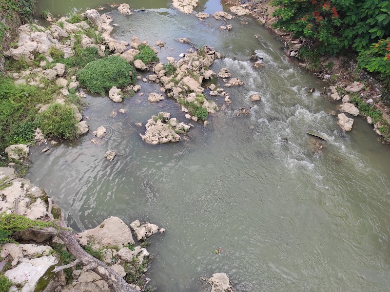 Photo 4 at First Iron Bridge In The Caribbean in Spanish Town