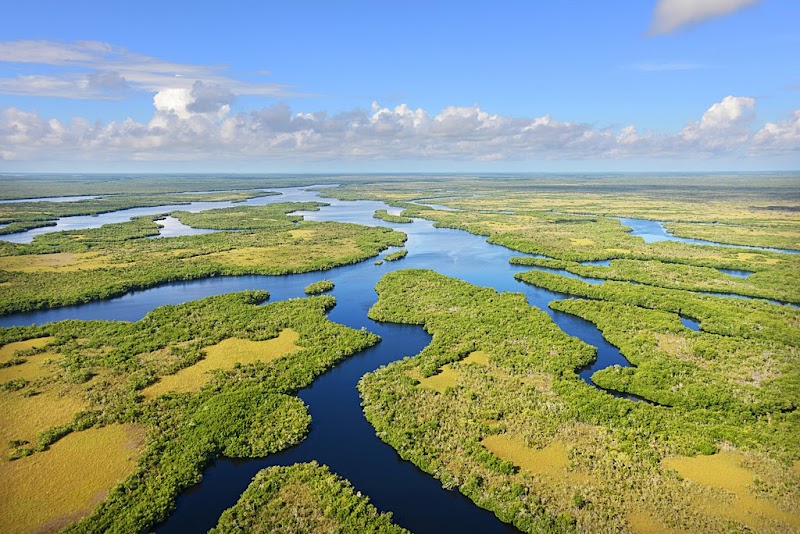 Photo 6 at Everglades National Park in 