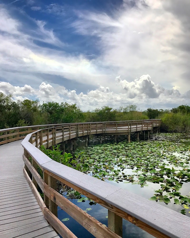 Photo 4 at Everglades National Park in 