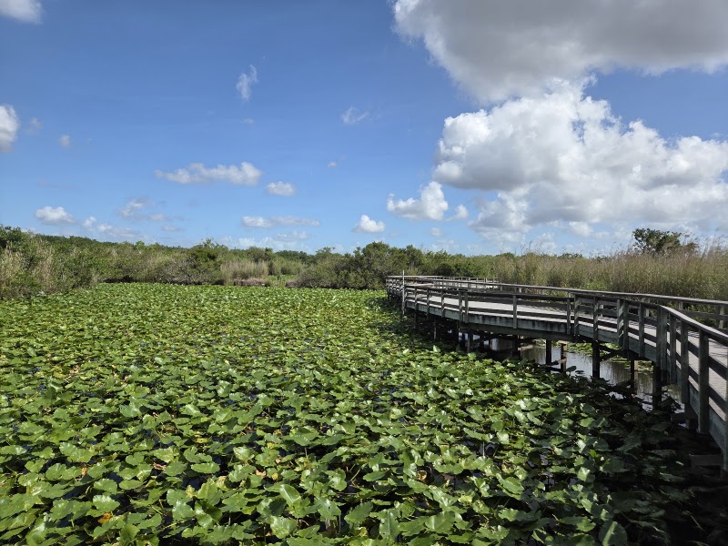 Photo 1 at Everglades National Park in 