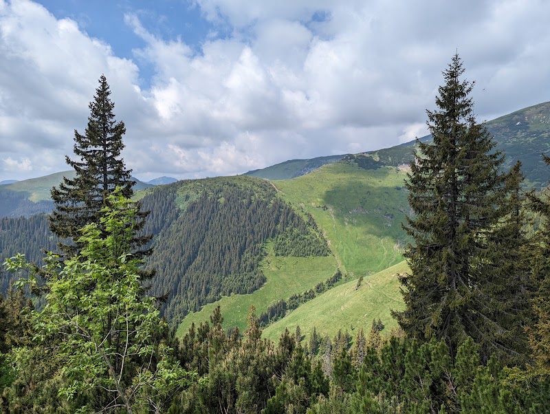 Photo 5 at Rodnei Mountains National Park in 