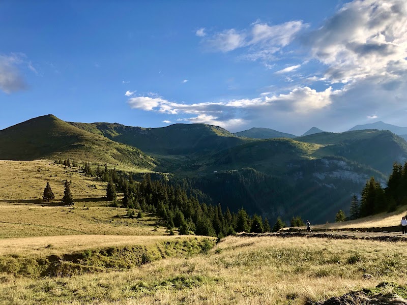 Photo 6 at Rodnei Mountains National Park in 