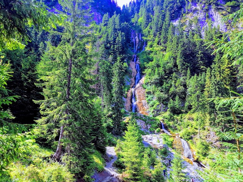 Photo 3 at Rodnei Mountains National Park in 