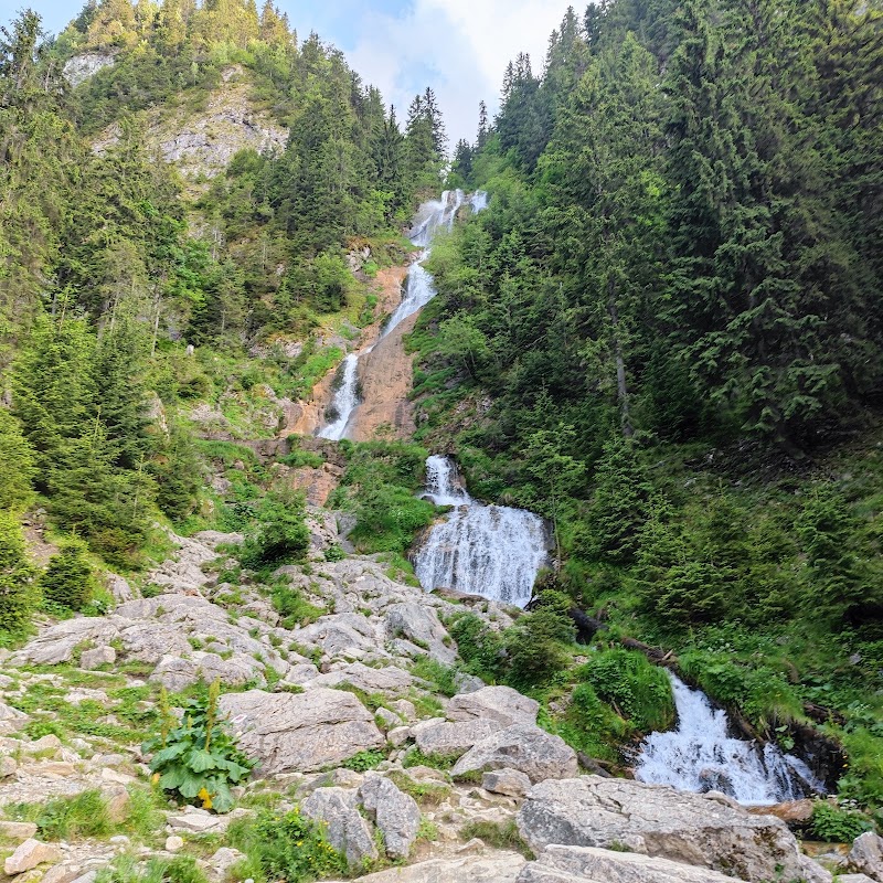 Photo 4 at Rodnei Mountains National Park in 