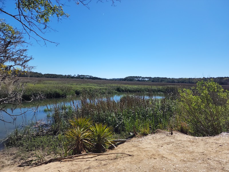 Photo 6 at Wormsloe State Historic Site in Savannah
