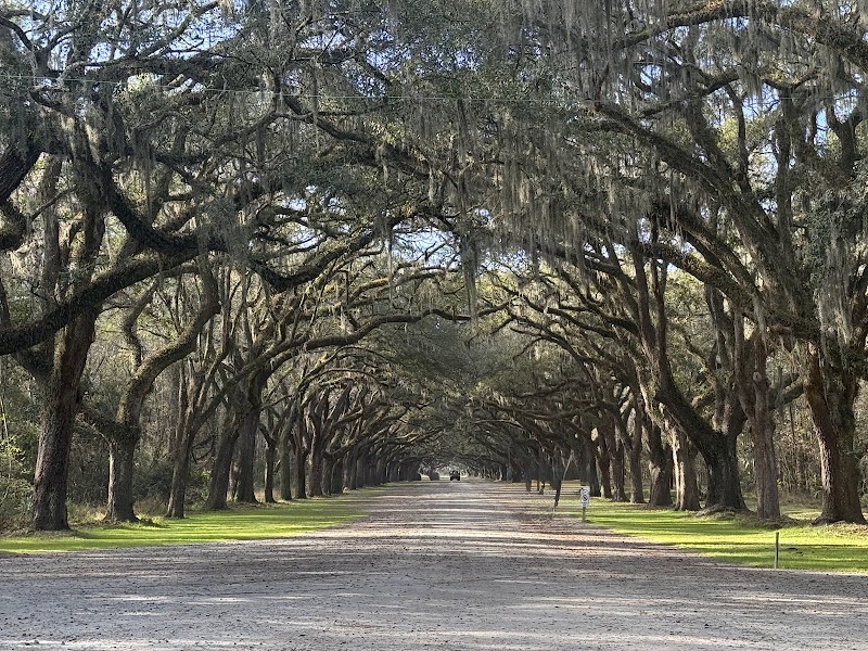 Photo 2 at Wormsloe State Historic Site in Savannah
