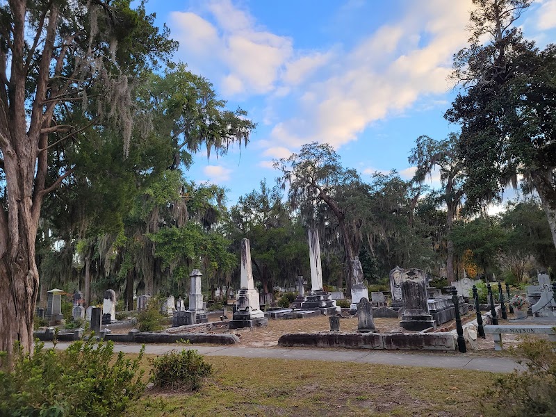 Photo 5 at Wormsloe State Historic Site in Savannah