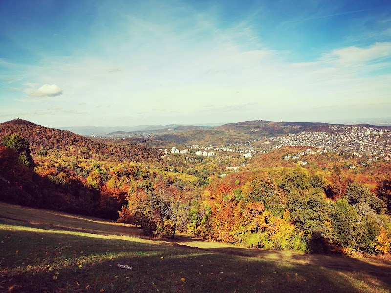 Photo 5 at Buda Landscape Protection Area in 
