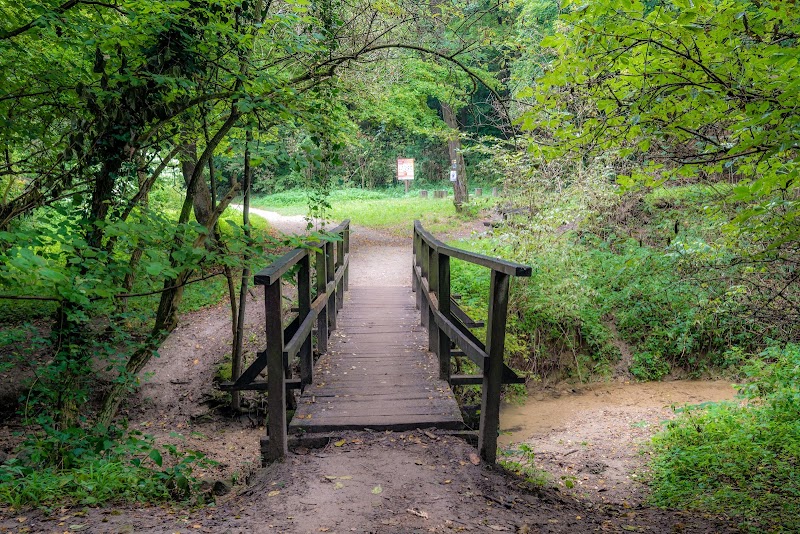 Photo 4 at Buda Landscape Protection Area in 