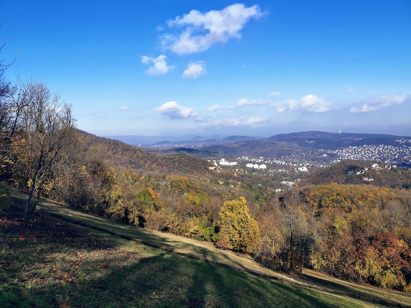 Buda Landscape Protection Area in 