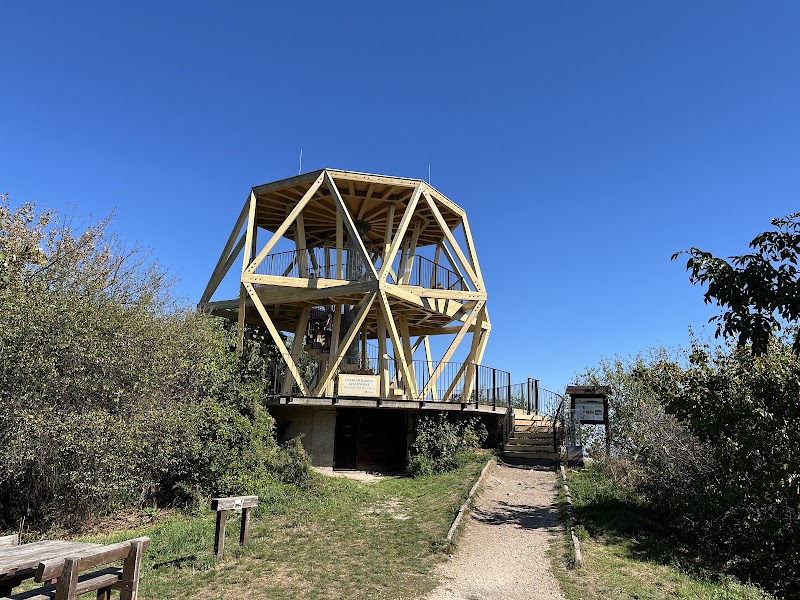Photo 6 at Buda Landscape Protection Area in 