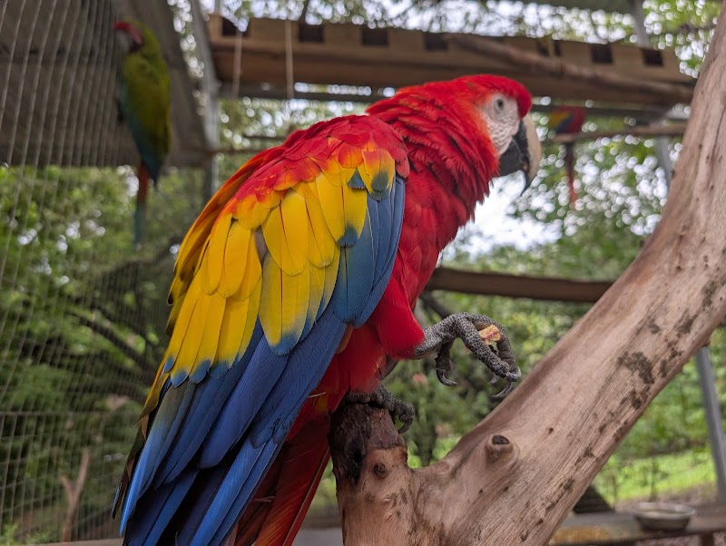 Photo 1 at Mayan Eden eco park in Coxen Hole