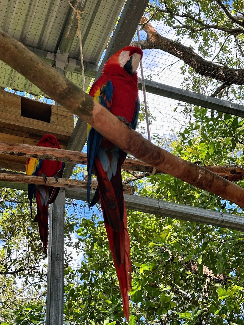 Photo 4 at Mayan Eden eco park in Coxen Hole