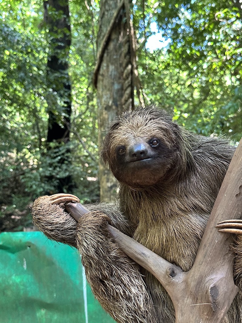 Mayan Eden eco park in Coxen Hole