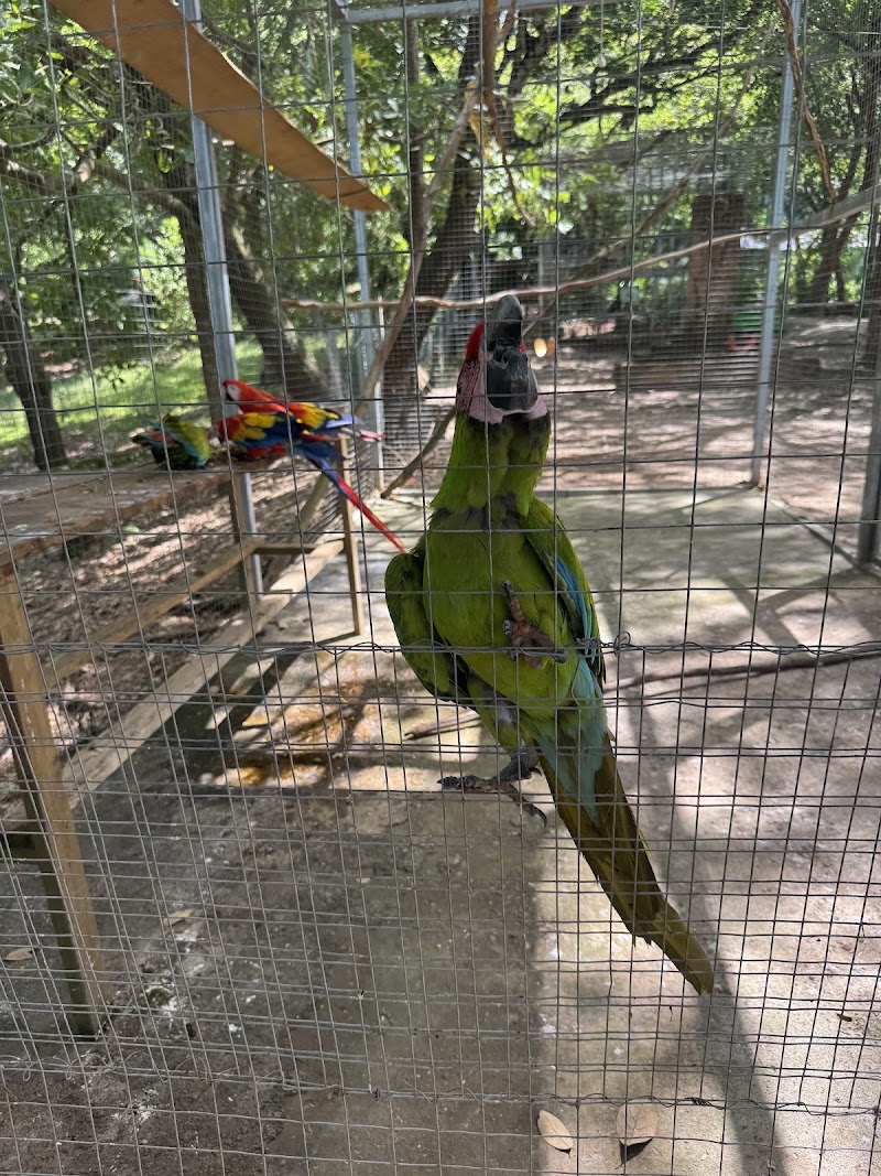 Photo 3 at Mayan Eden eco park in Coxen Hole