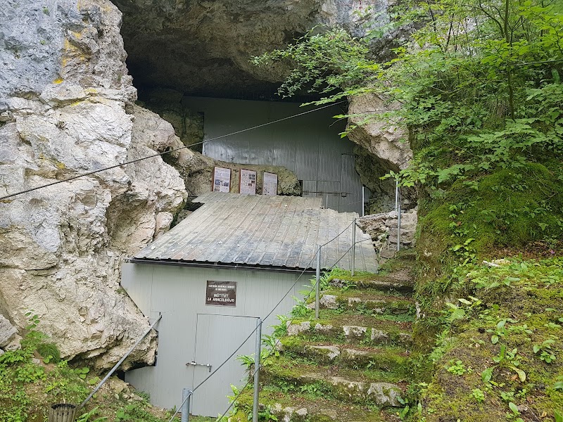 Photo 4 at Divje Babe Archaeological Park in Cerkno
