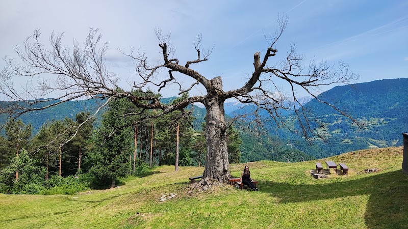 Photo 5 at Divje Babe Archaeological Park in Cerkno