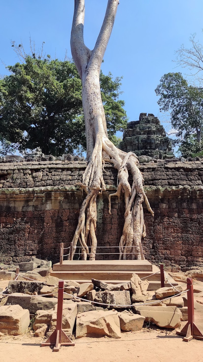 Photo 2 at Ta Prohm Temple in Krong Siem Reap