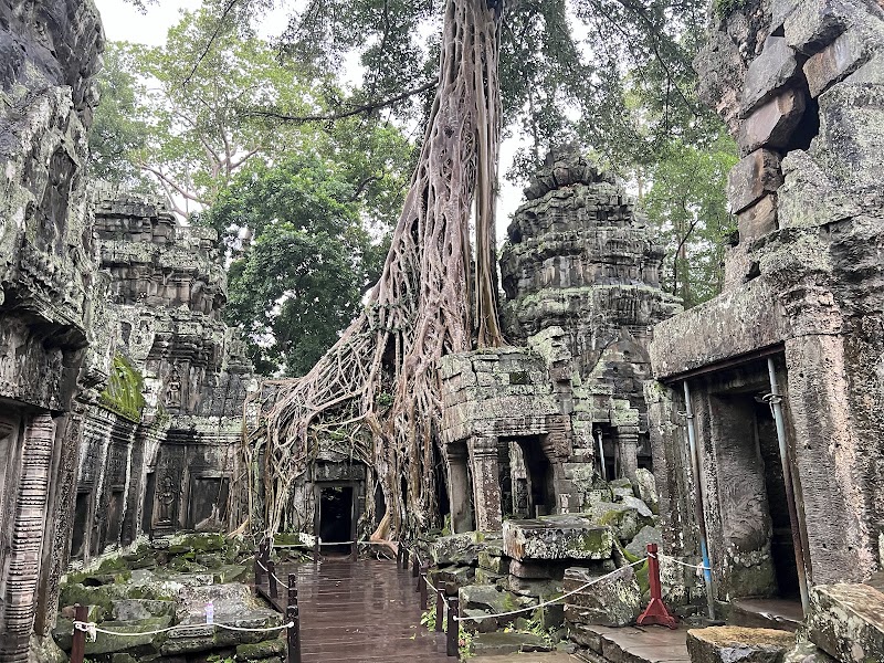 Photo 1 at Ta Prohm Temple in Krong Siem Reap