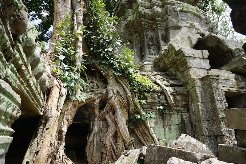 Photo 4 at Ta Prohm Temple in Krong Siem Reap