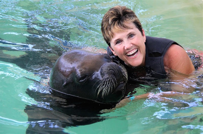 Photo 3 at Coral World Ocean Park in St Thomas