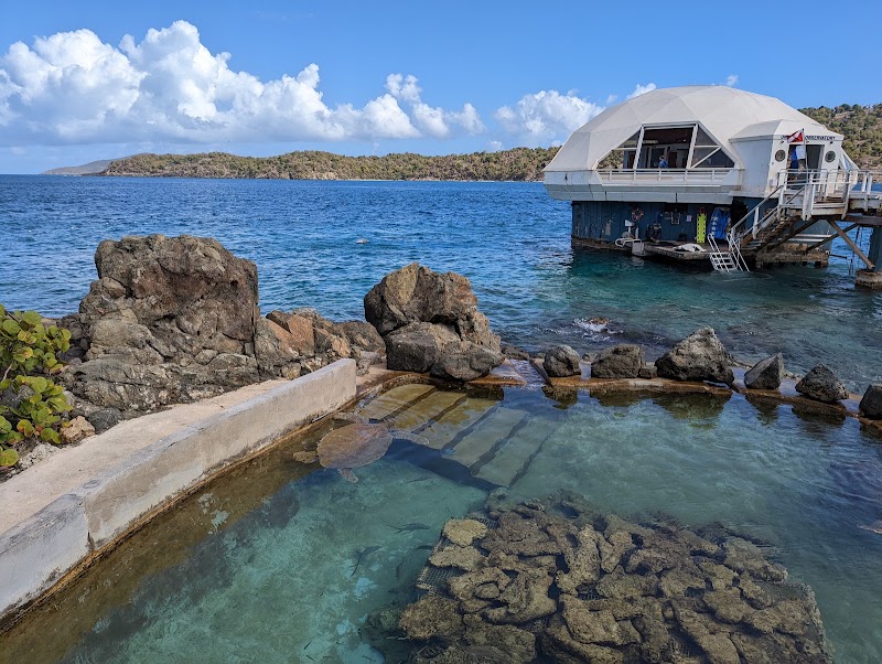 Photo 1 at Coral World Ocean Park in St Thomas