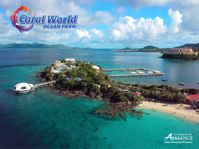 Coral World Ocean Park in St Thomas