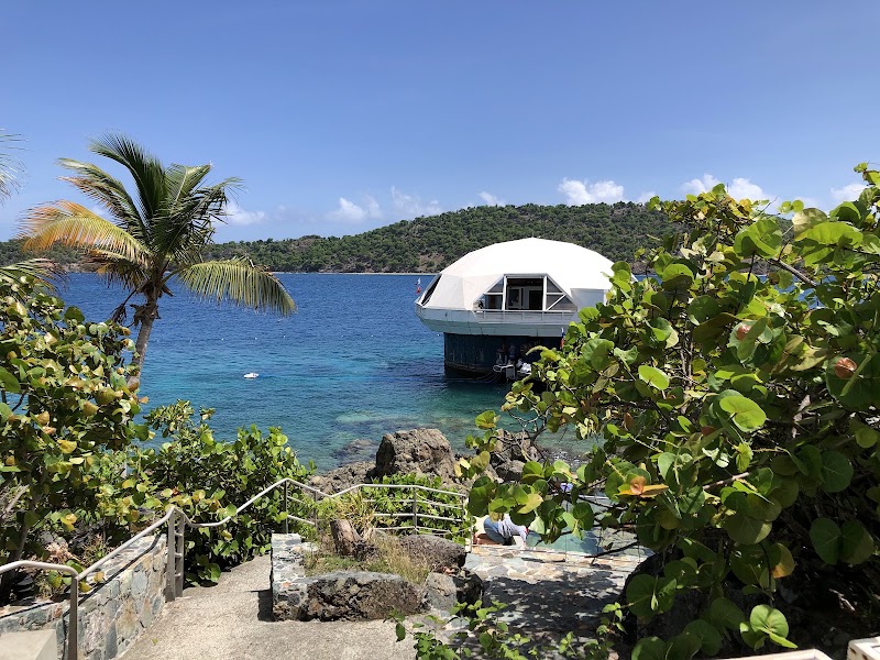 Photo 4 at Coral World Ocean Park in St Thomas