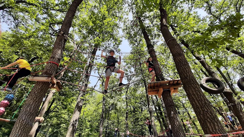 Photo 1 at Kokolandia Adventure Park in Sofia