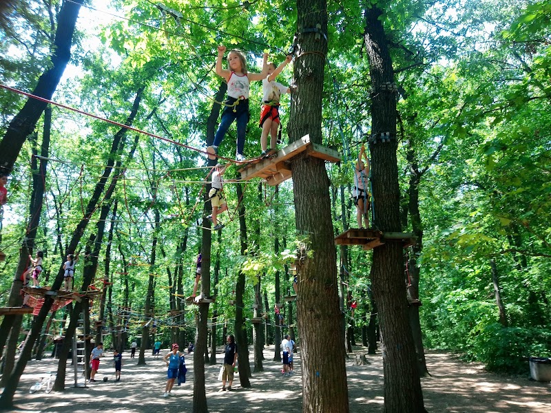 Photo 6 at Kokolandia Adventure Park in Sofia