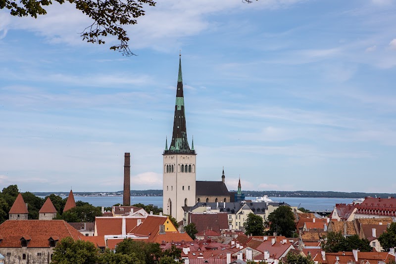Kohtuotsa viewing platform in Tallinn