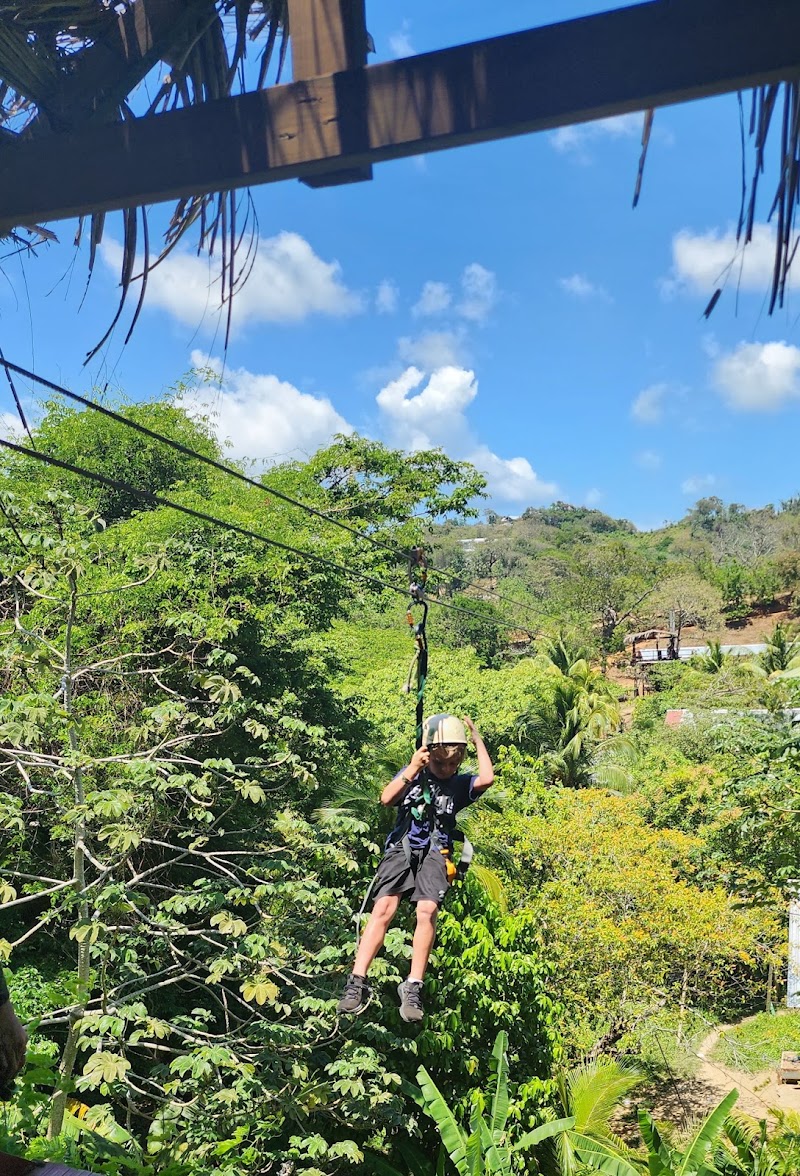 Bodden Tours: Mayan Jungle Canopy Zipline | Victor's Monkey & Sloth Sanctuary in Monte Placentero