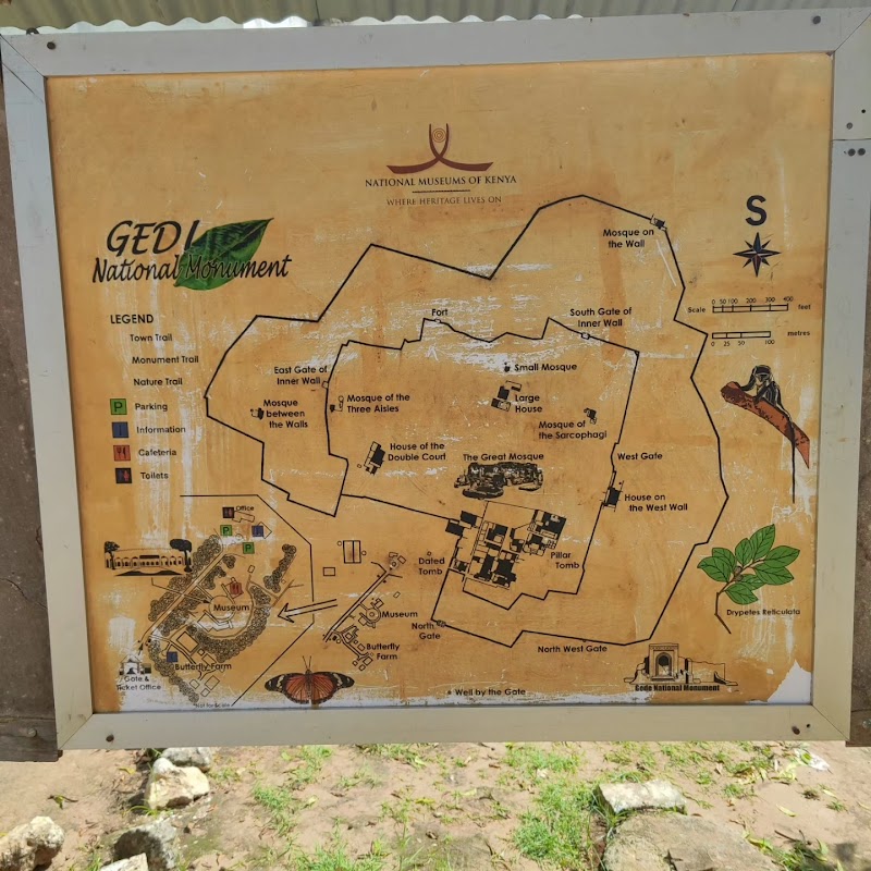 Photo 5 at Gedi Ruins Malindi... Snake Park in 
