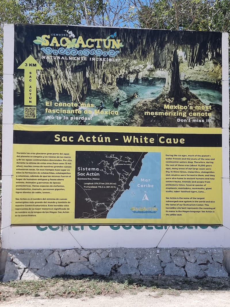 Photo 6 at Two Eyes Cenote in 