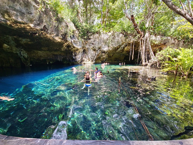 Photo 4 at Two Eyes Cenote in 