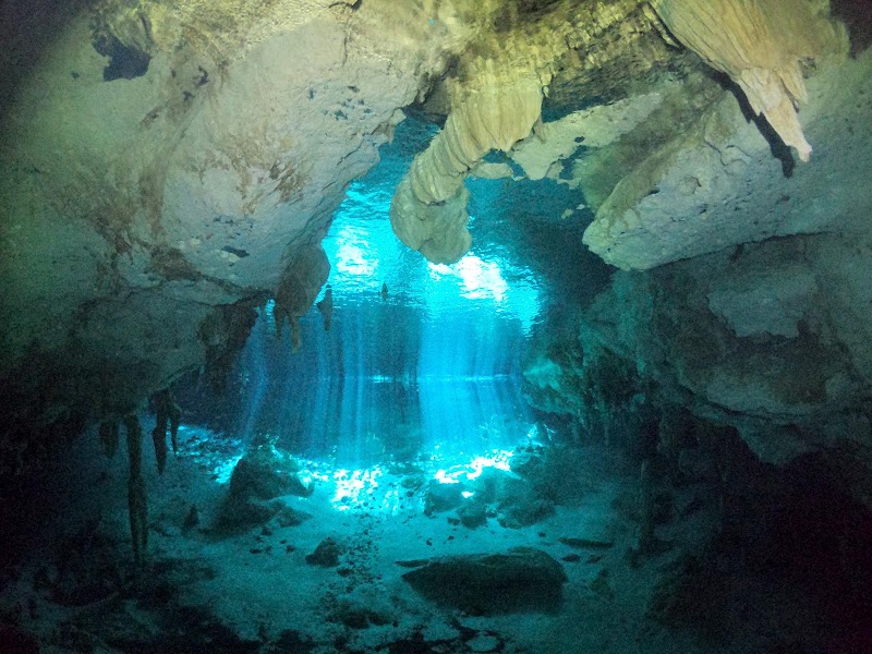 Photo 3 at Two Eyes Cenote in 