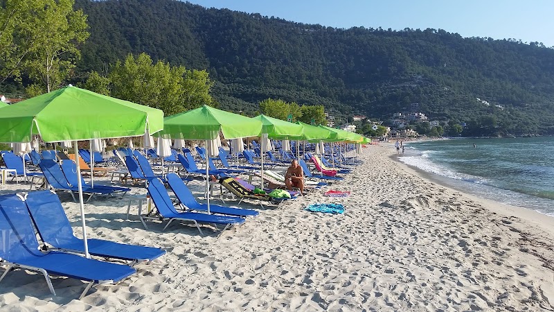 Photo 6 at Princess Golden Beach Hotel in Chrysi Ammoudia