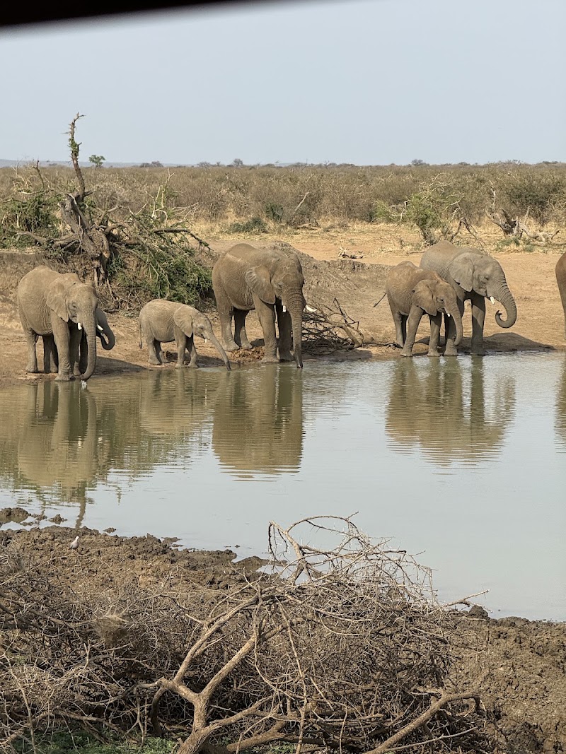 Photo 1 at Madikwe Game Reserve in 
