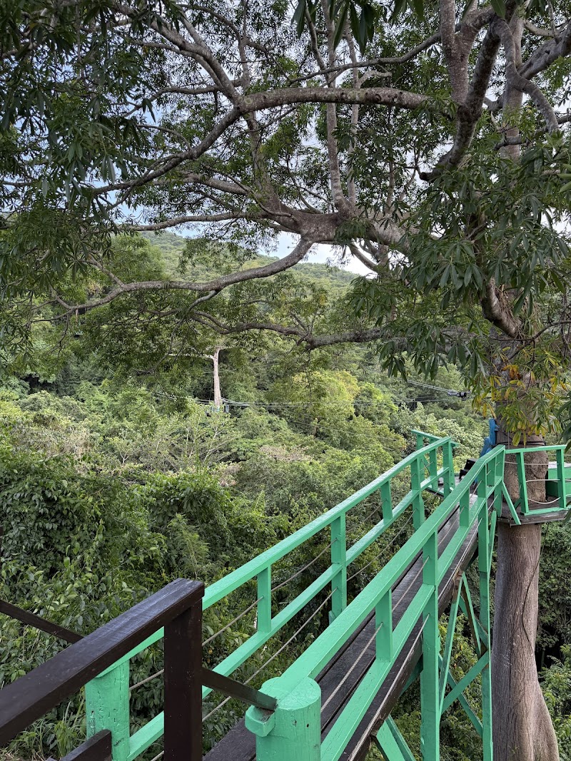 Photo 3 at Antigua Rainforest Tour in AG