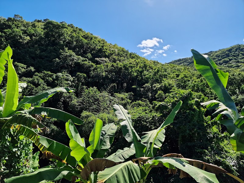 Photo 2 at Antigua Rainforest Tour in AG