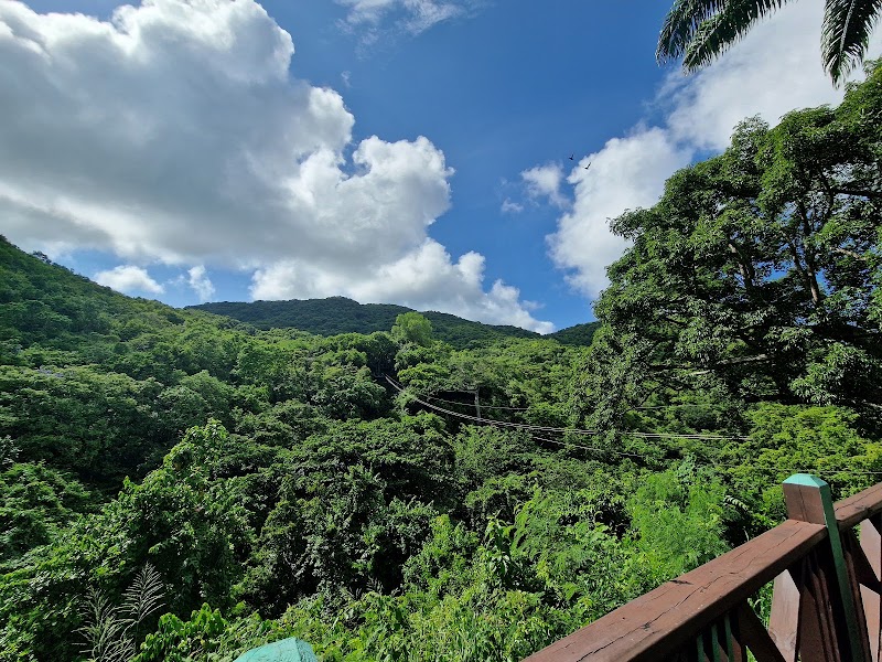 Antigua Rainforest Tour in AG