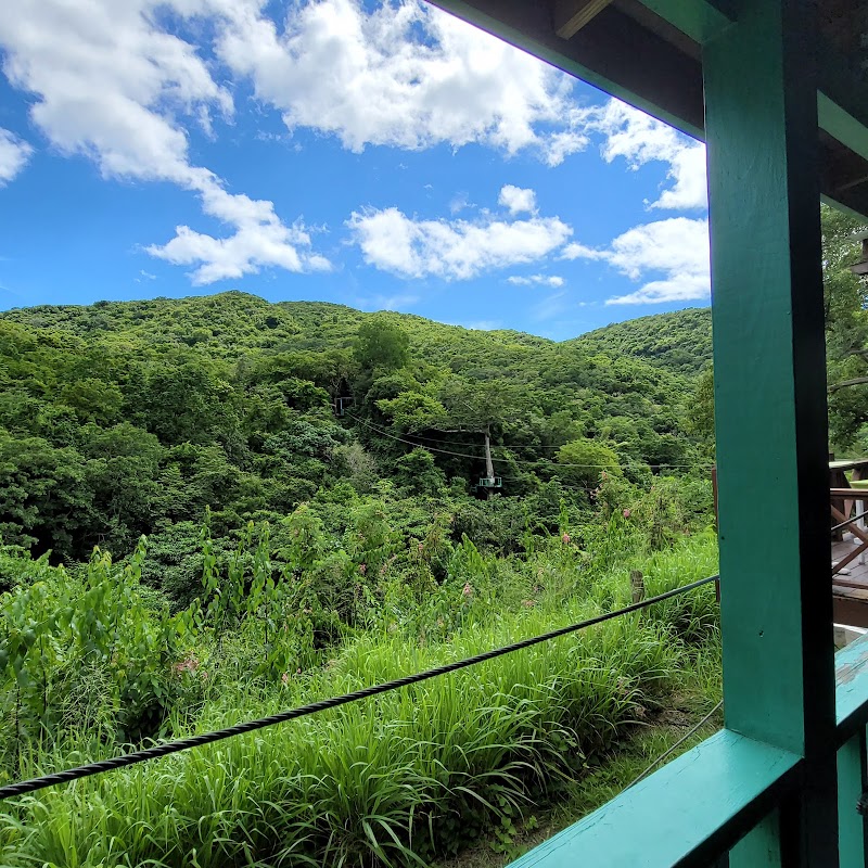 Photo 4 at Antigua Rainforest Tour in AG