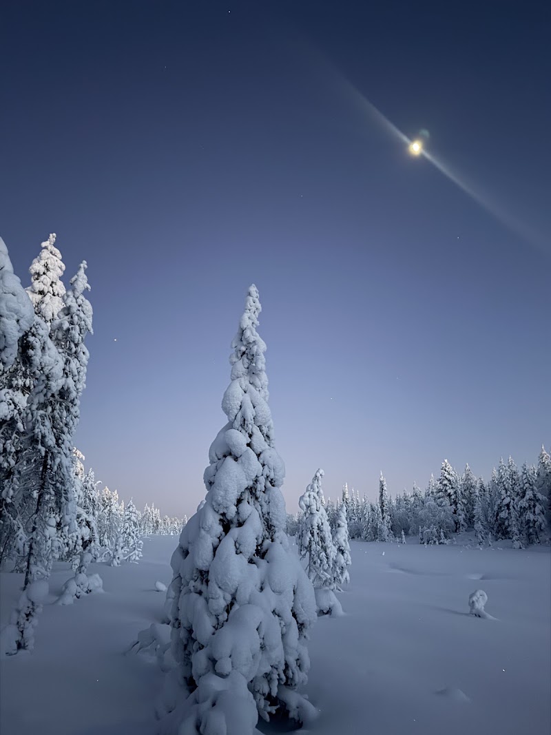 Photo 2 at Adventure Apes in Kuusamo