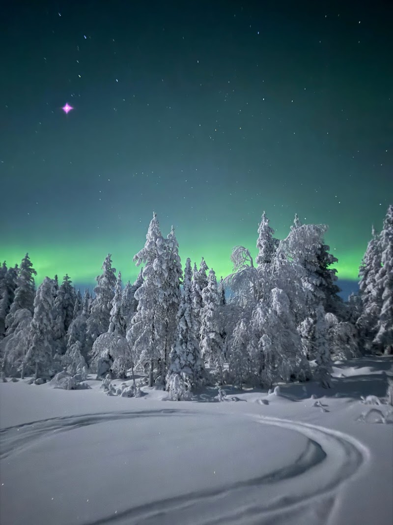 Photo 1 at Adventure Apes in Kuusamo