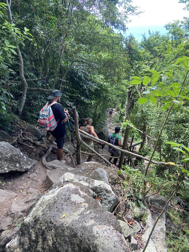 Photo 3 at Gros Piton Nature Trail in Fond Doux