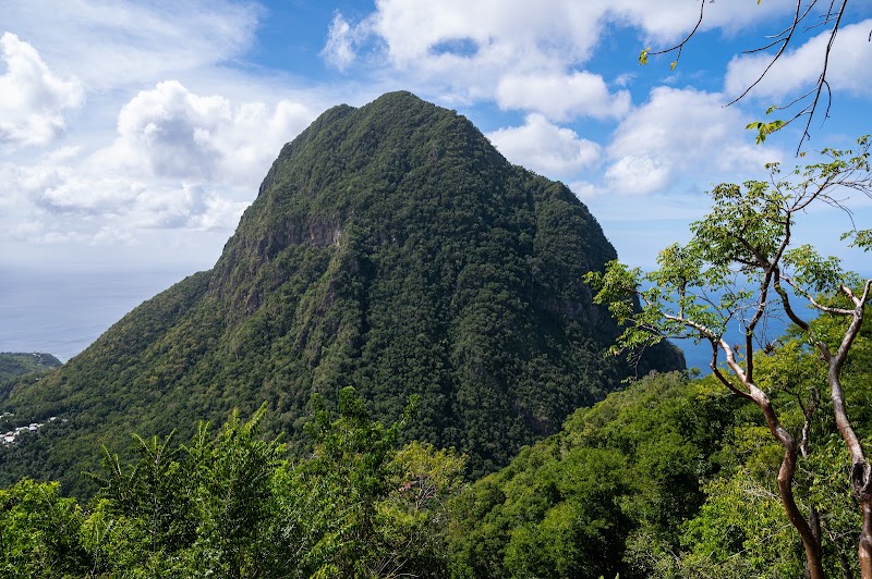 Photo 5 at Gros Piton Nature Trail in Fond Doux