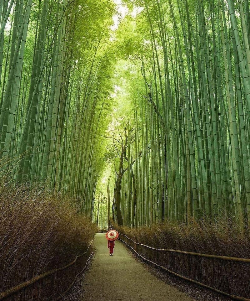 Arashiyama in Kyoto