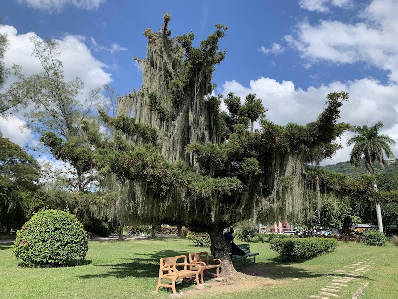 Photo 3 at Hope Botanical Gardens in Kingston