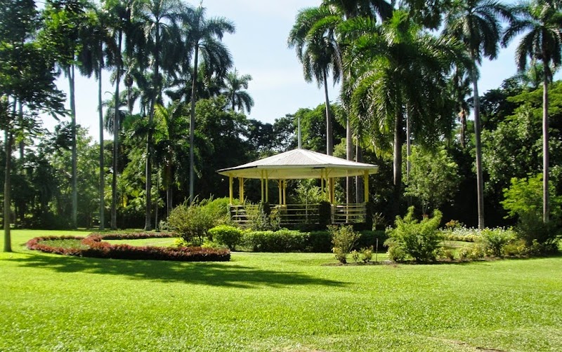 Hope Botanical Gardens in Kingston