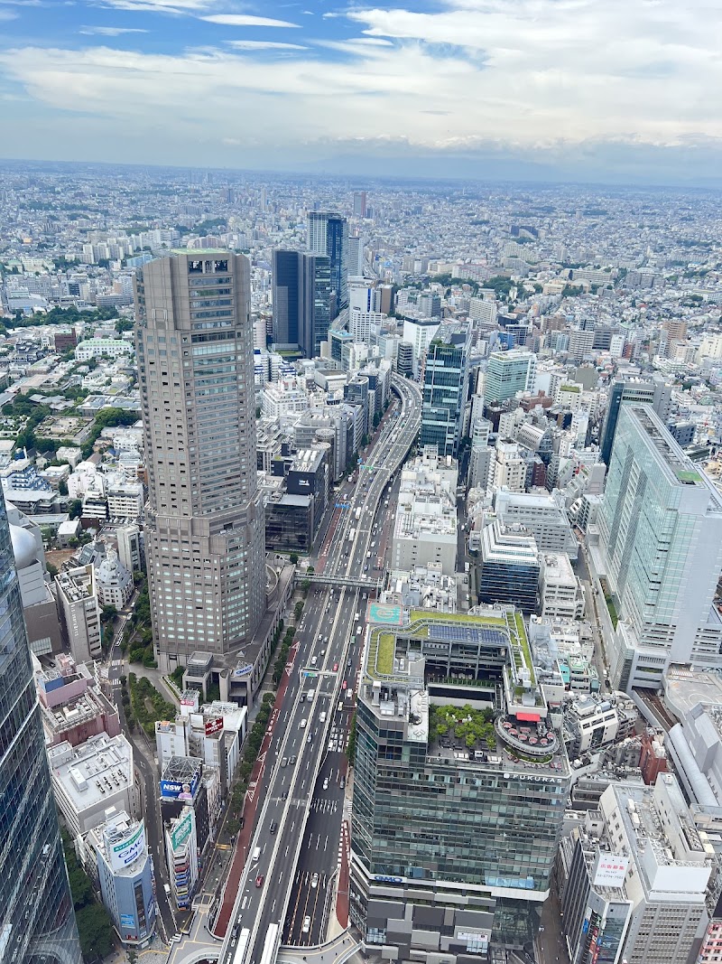 Photo 3 at Shibuya Sky in Shibuya